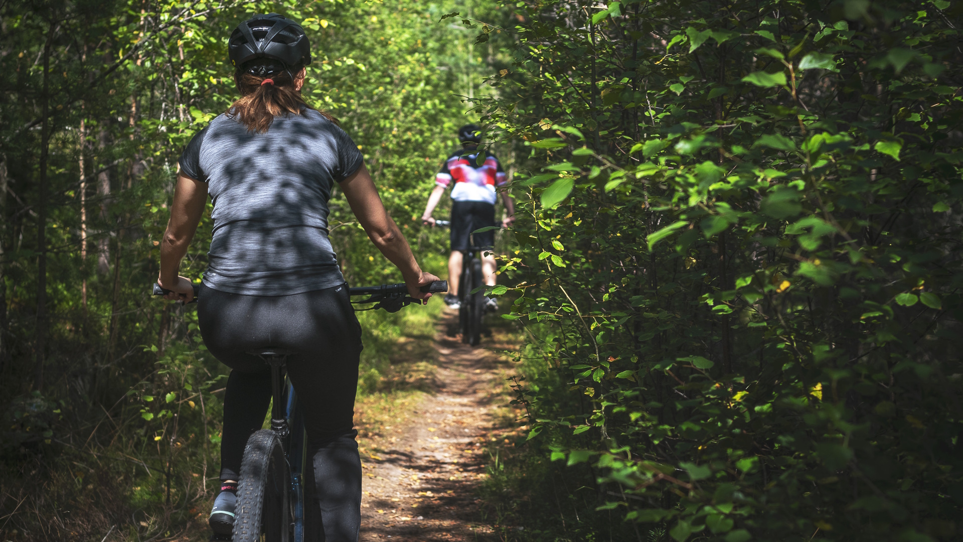 Två mountainbikecyklister ipå skogsväg.