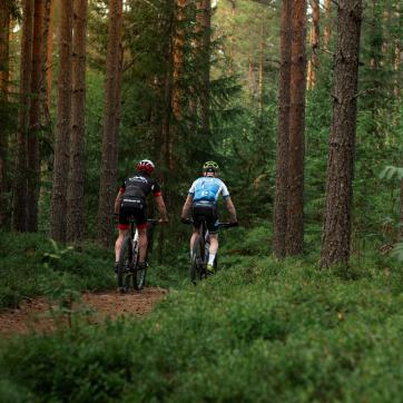 Two persons biking on a trail in the forest.