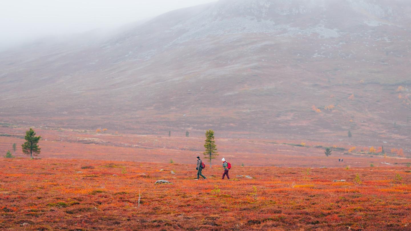Two persons walking in the mountains during color changes in autumn.