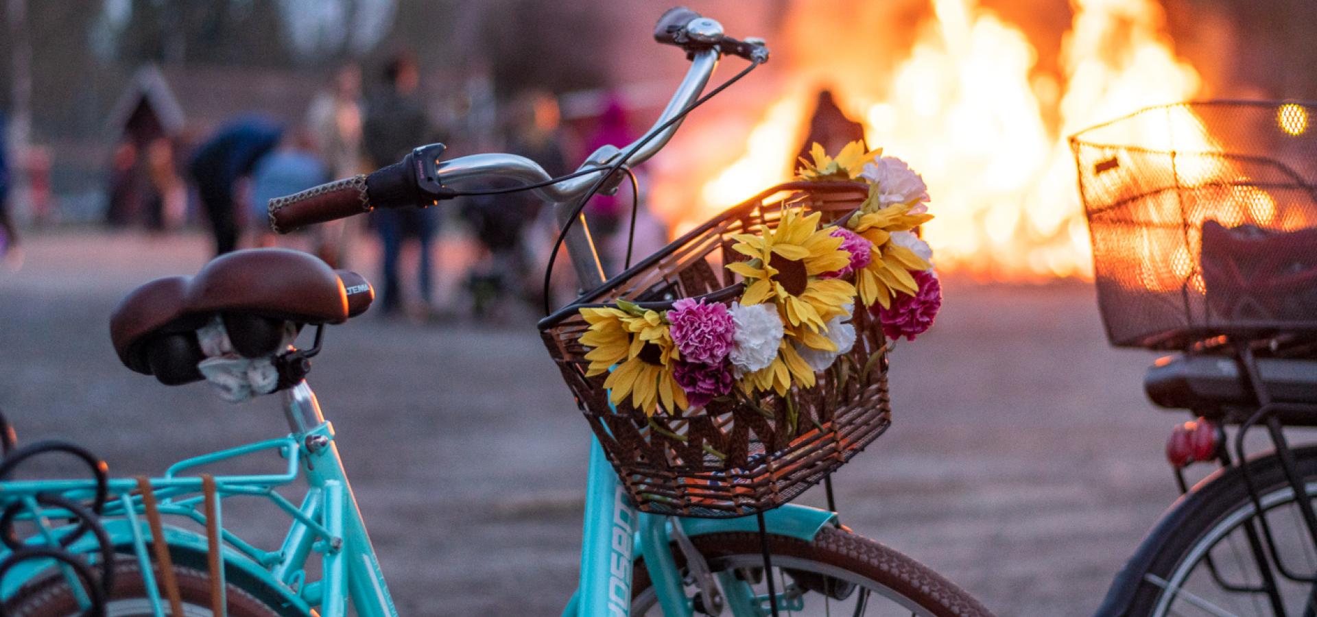 En cykel med korg med blommor i vid en majbrasa.