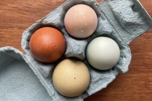 Äggkartong med fyra färska ägg i jordnära färger.