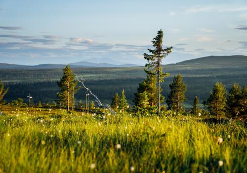 View over the mountains in Dalarna.