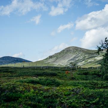 View over the mountain's in Grövelsjön.