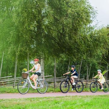 A family is biking on a road.