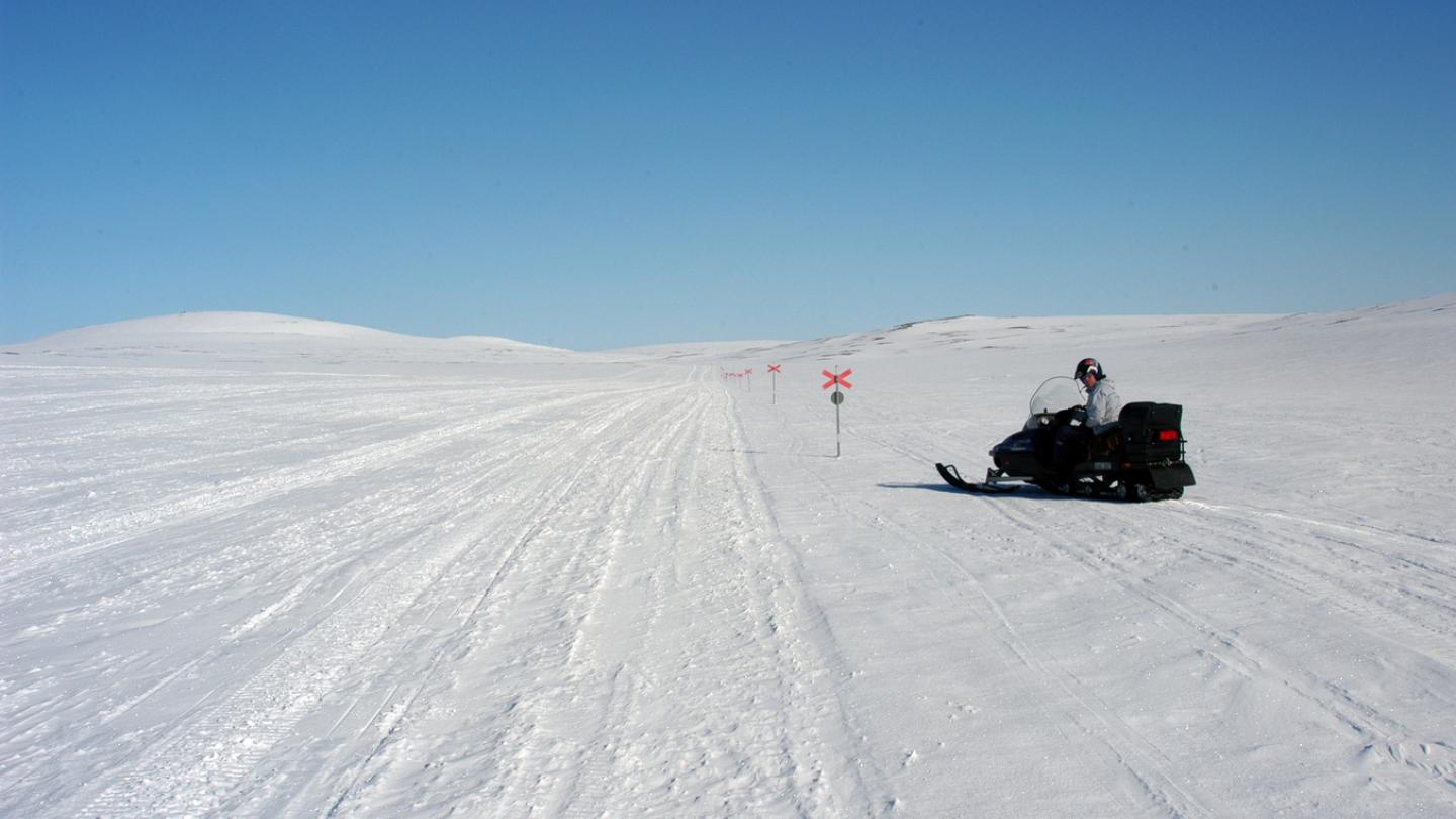 Snowmobilers riding on Långfjället.
