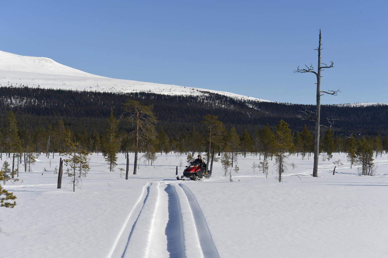 Snowmobiling in Idre Visit Dalarna