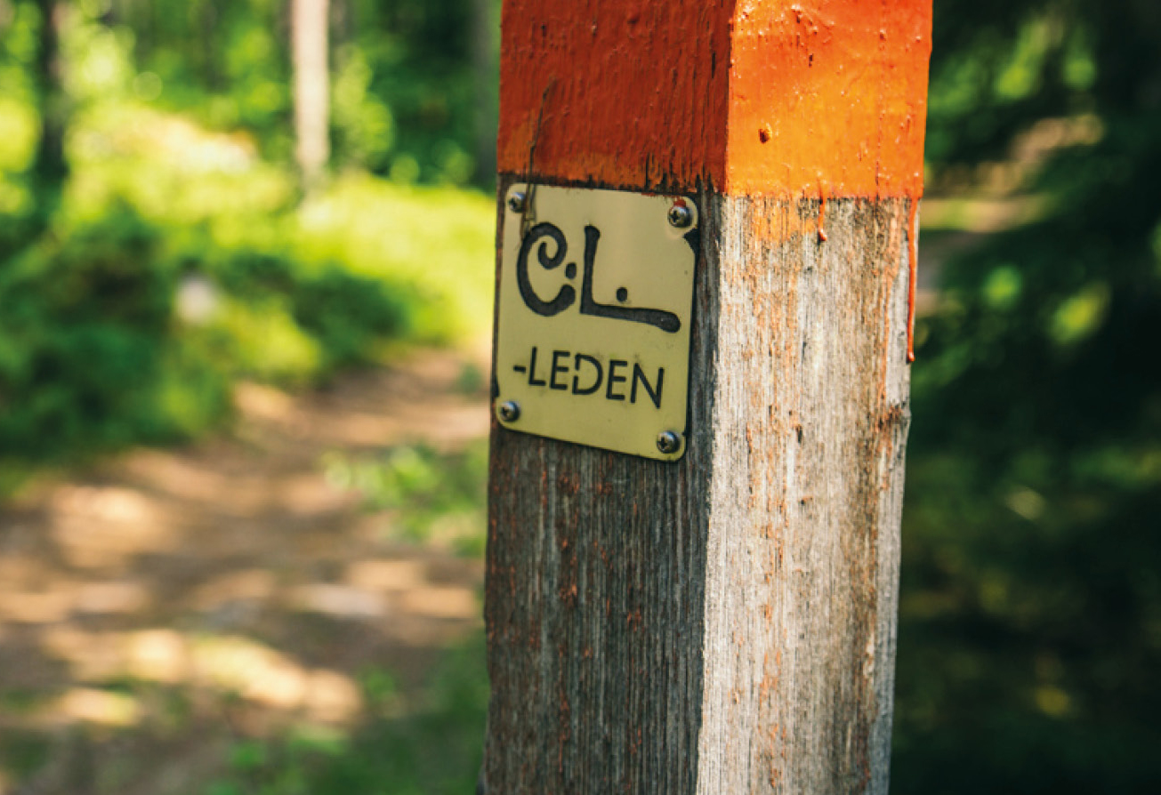 En orangemarkerad stolpe i skogen visar Carl Larsson-leden.