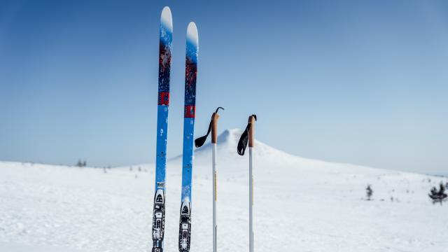 Alpina skidor i snön.
