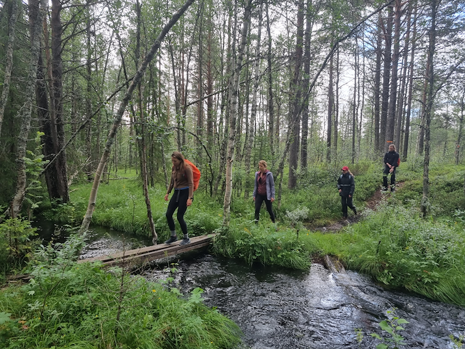 Personer som vandrar på en spång över en  bäck i skogen. 
