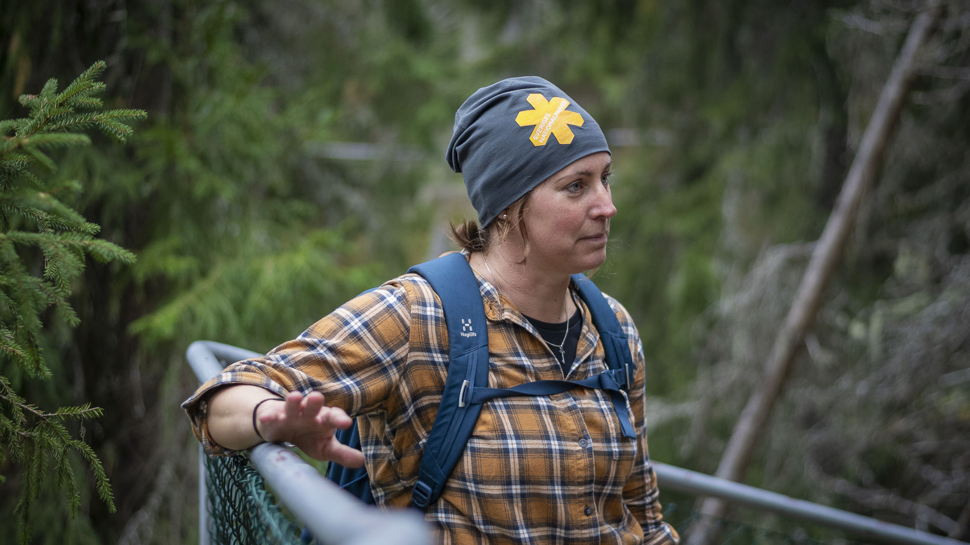 En naturguide vid Styggforsen