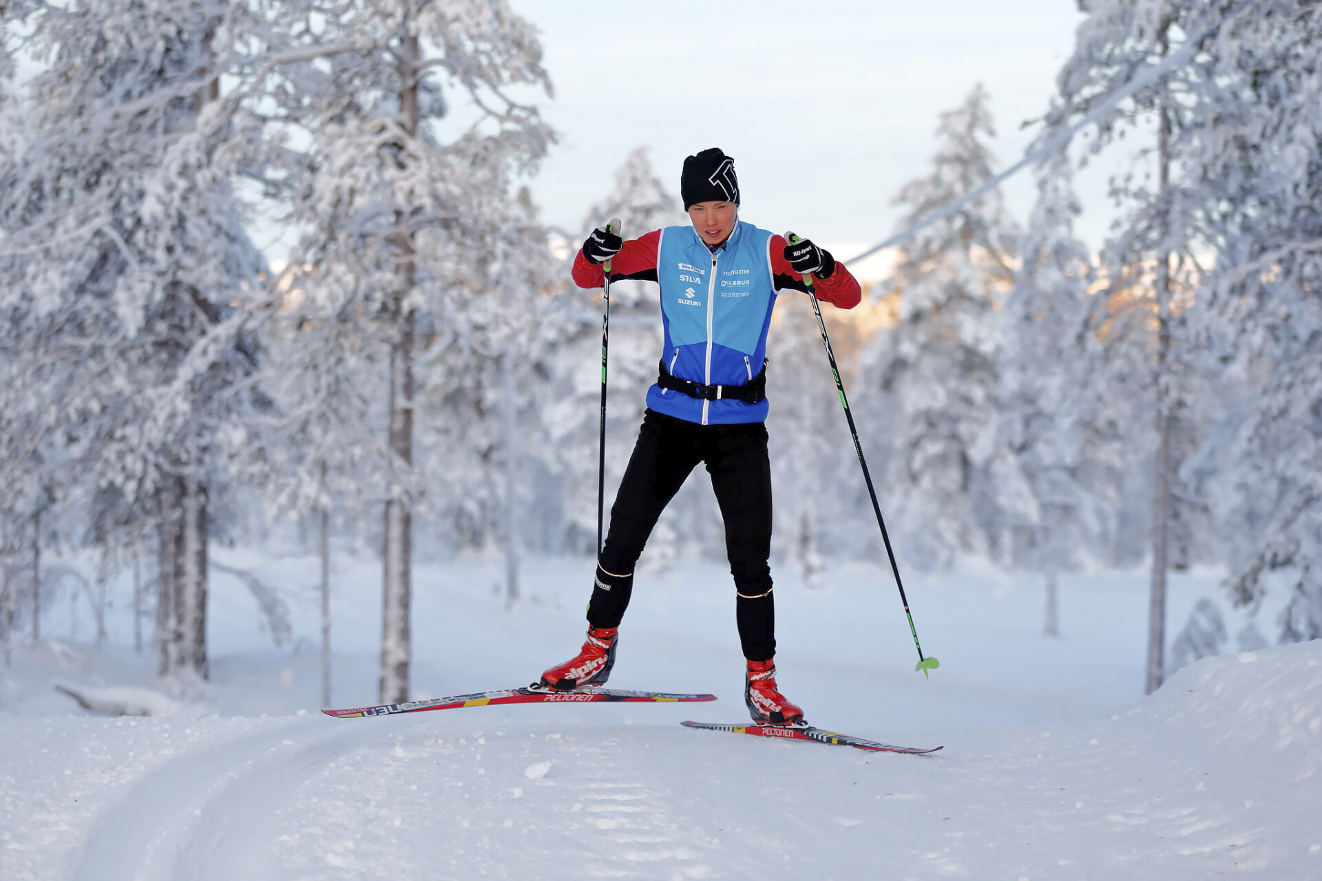 Tove Alexandersson i längdskidspåret.