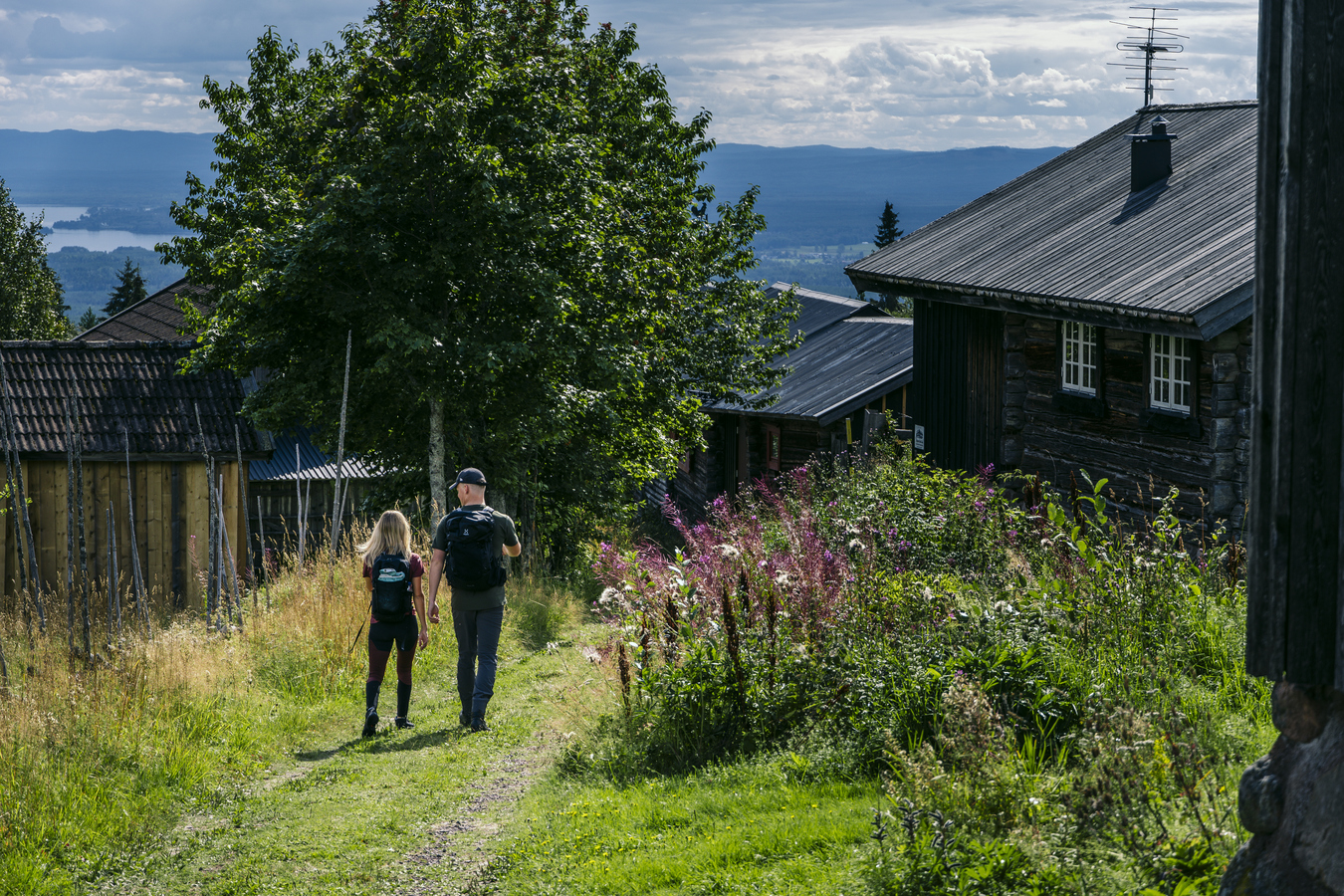 Aktiv sommar i Dalarna | Visit Dalarna