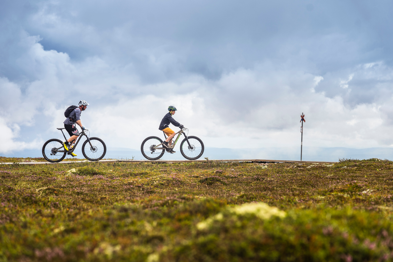 En man och en pojke cyklar mot en horisont.
