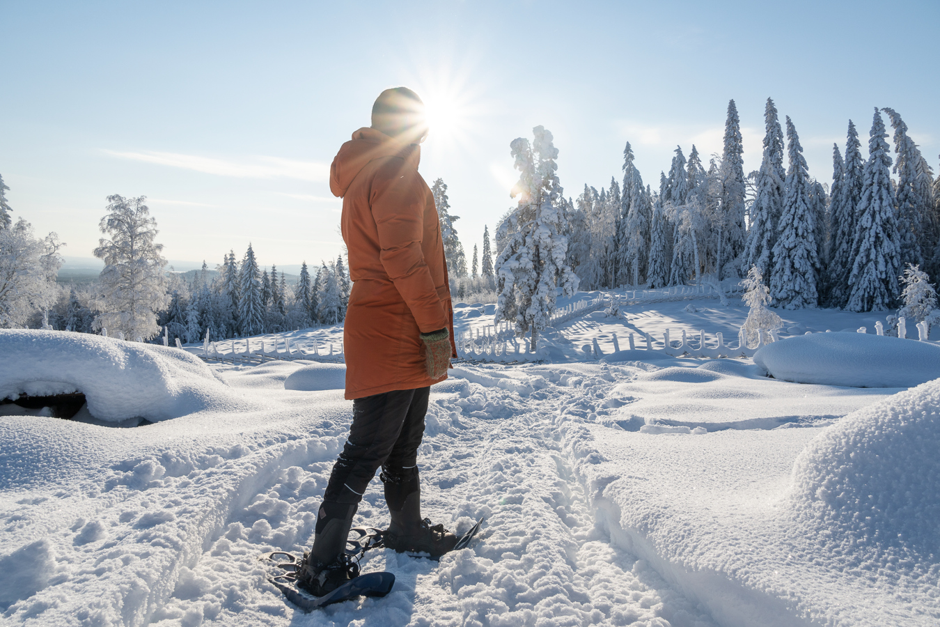 Snöskor i vinterlandskap.