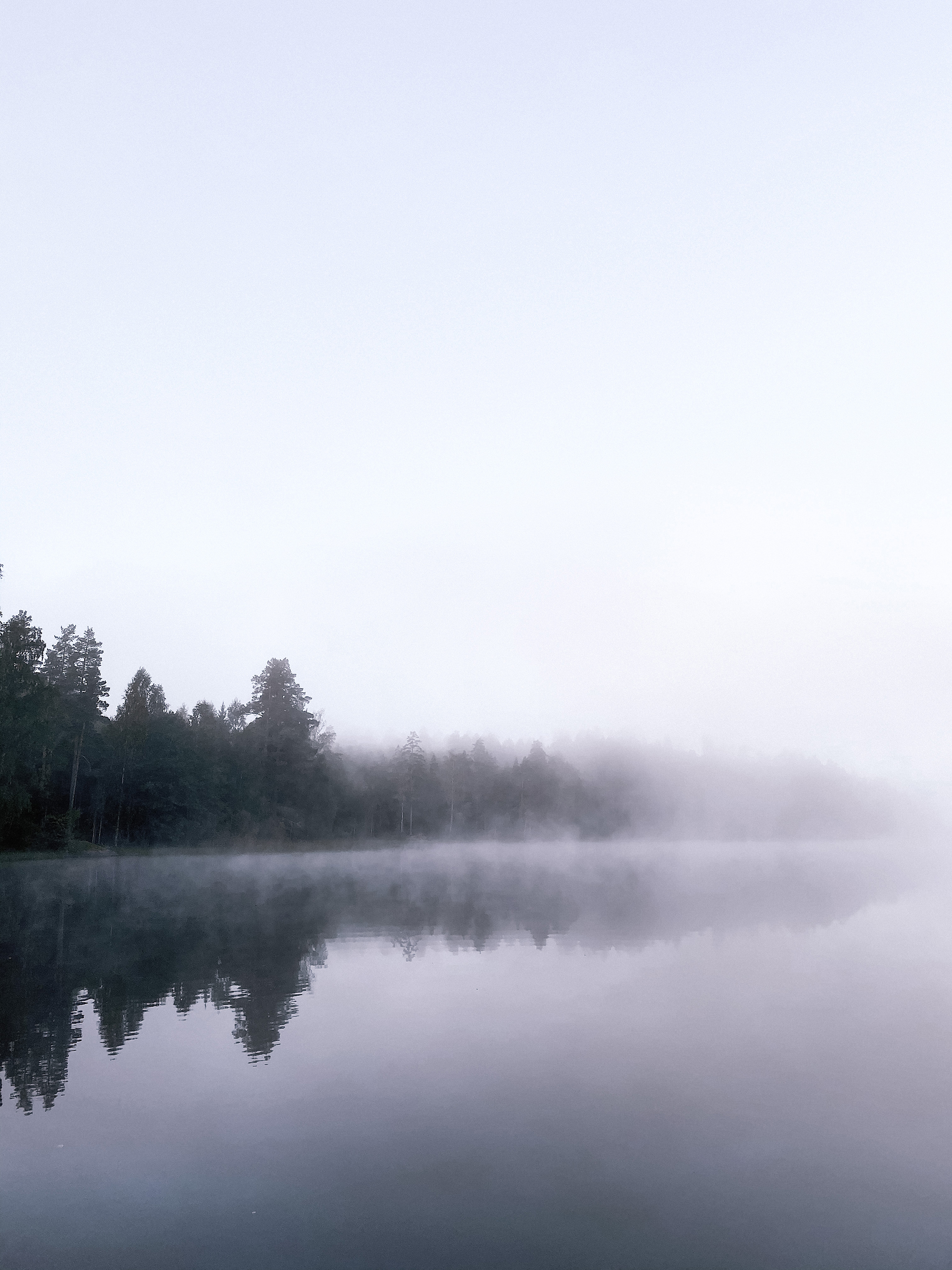 Dimma över en sjö och mörka träd som speglar sig i vattnet.