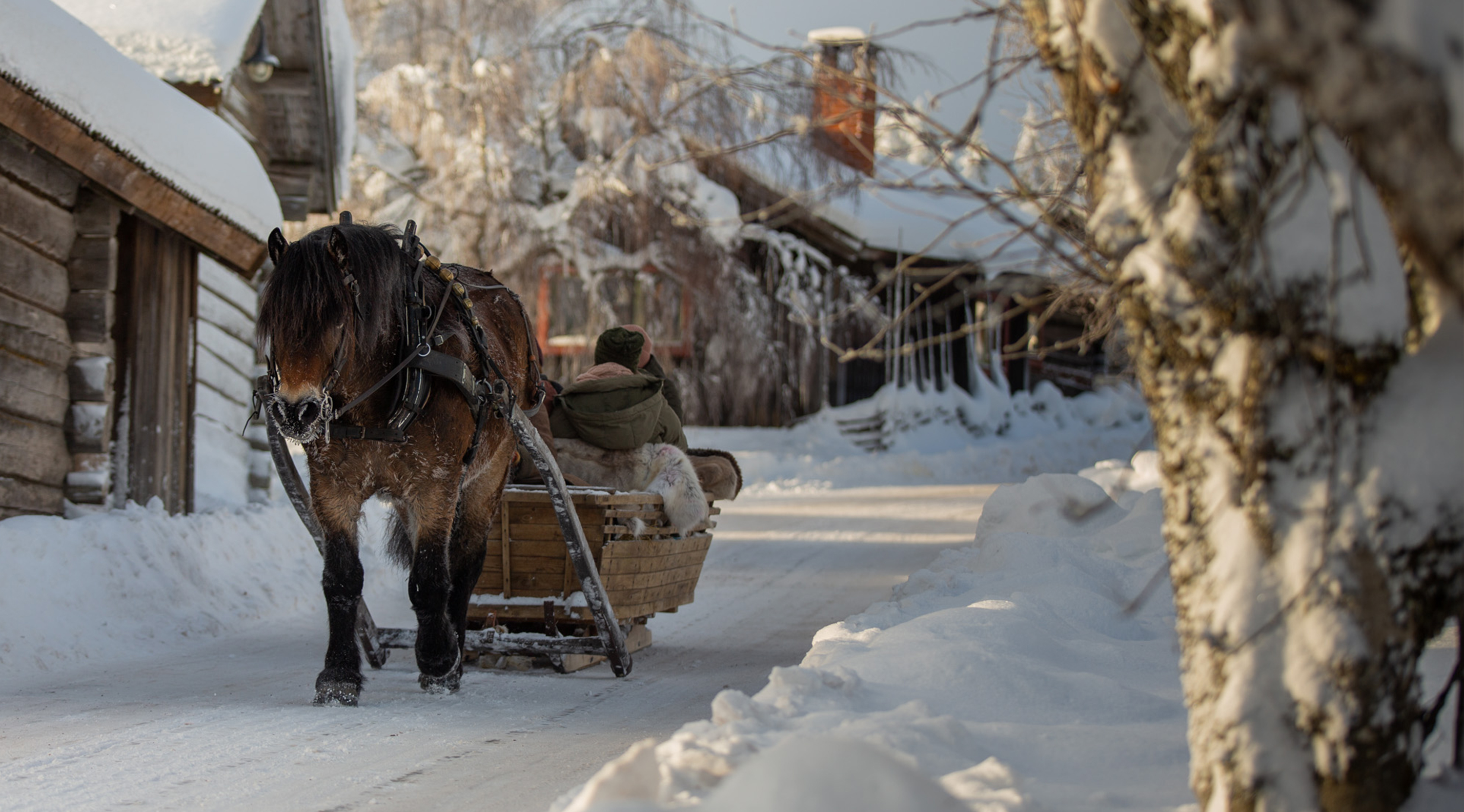 En häst drar en släde på snöig väg.