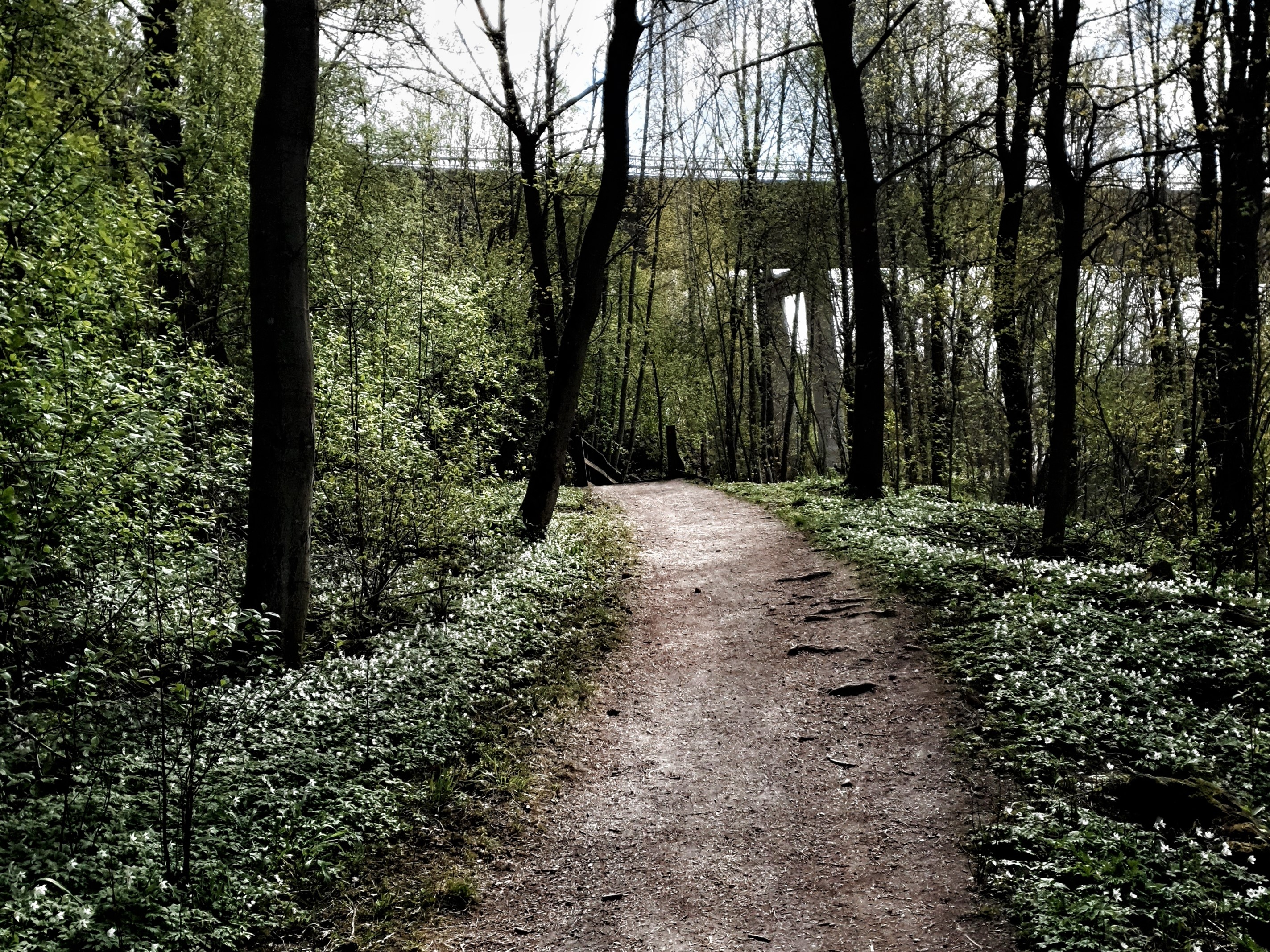 Älvpromenaden i Avesta.