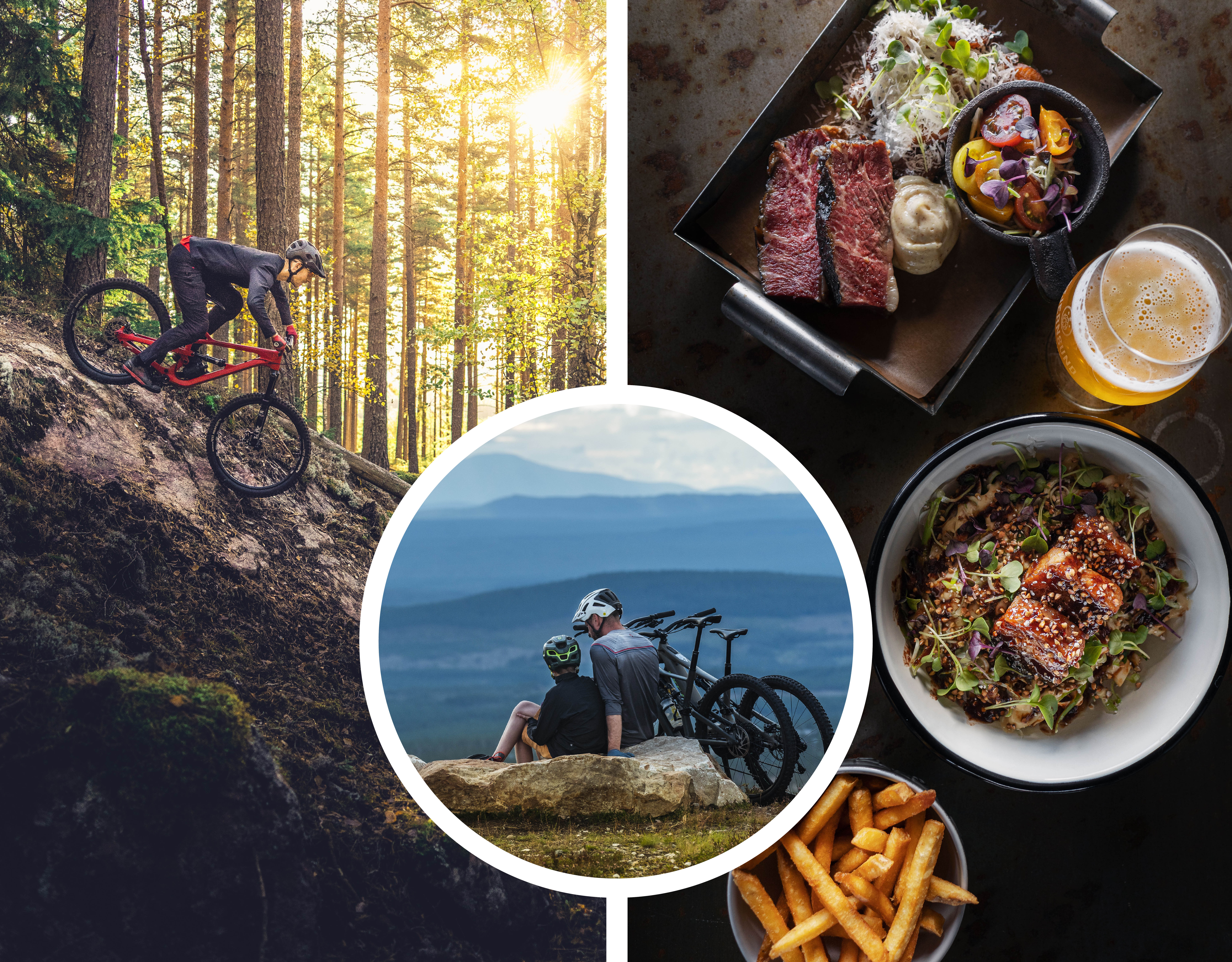 Downhill med cykel i skogen. En pappa och son på toppen av ett berg efter cykeltur. Fint upplagda maträtter.
