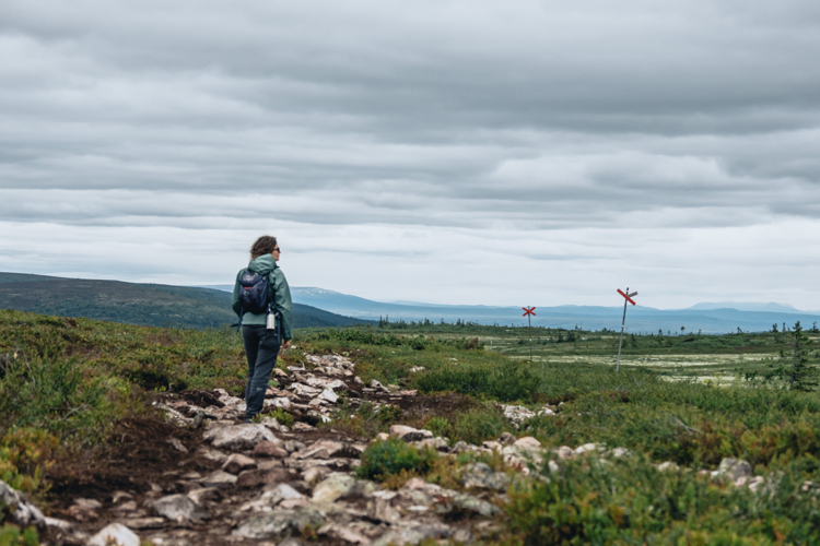 En person vandrar på en stig över ett fjäll.