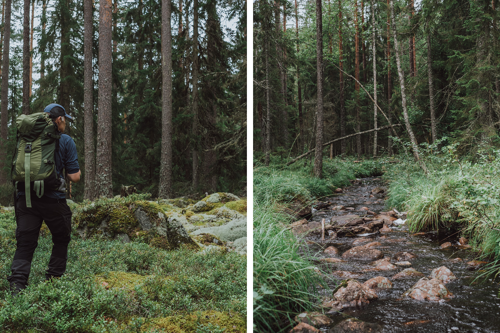 Kollage på vandringsleder i naturen.