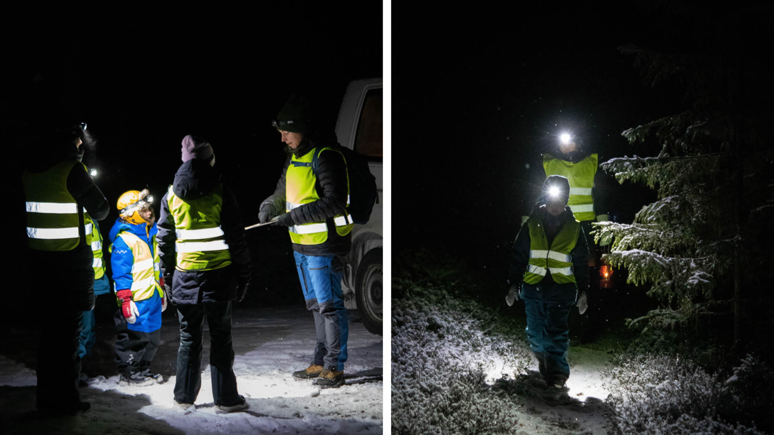 Mörkervandring i pannlampans sken i skogarna utanför Rättvik.