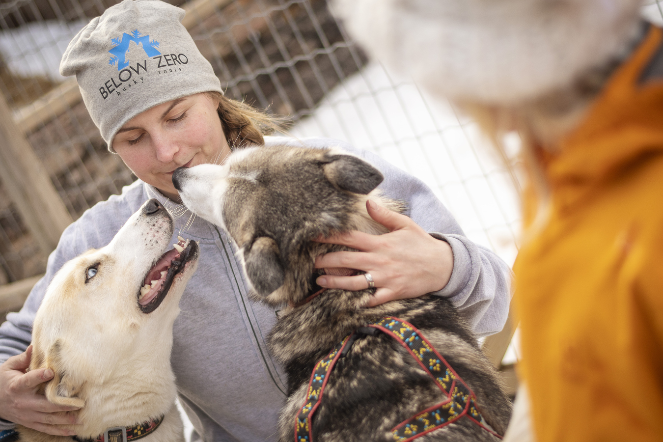 Huskyskötare som myser med sina hundar.
