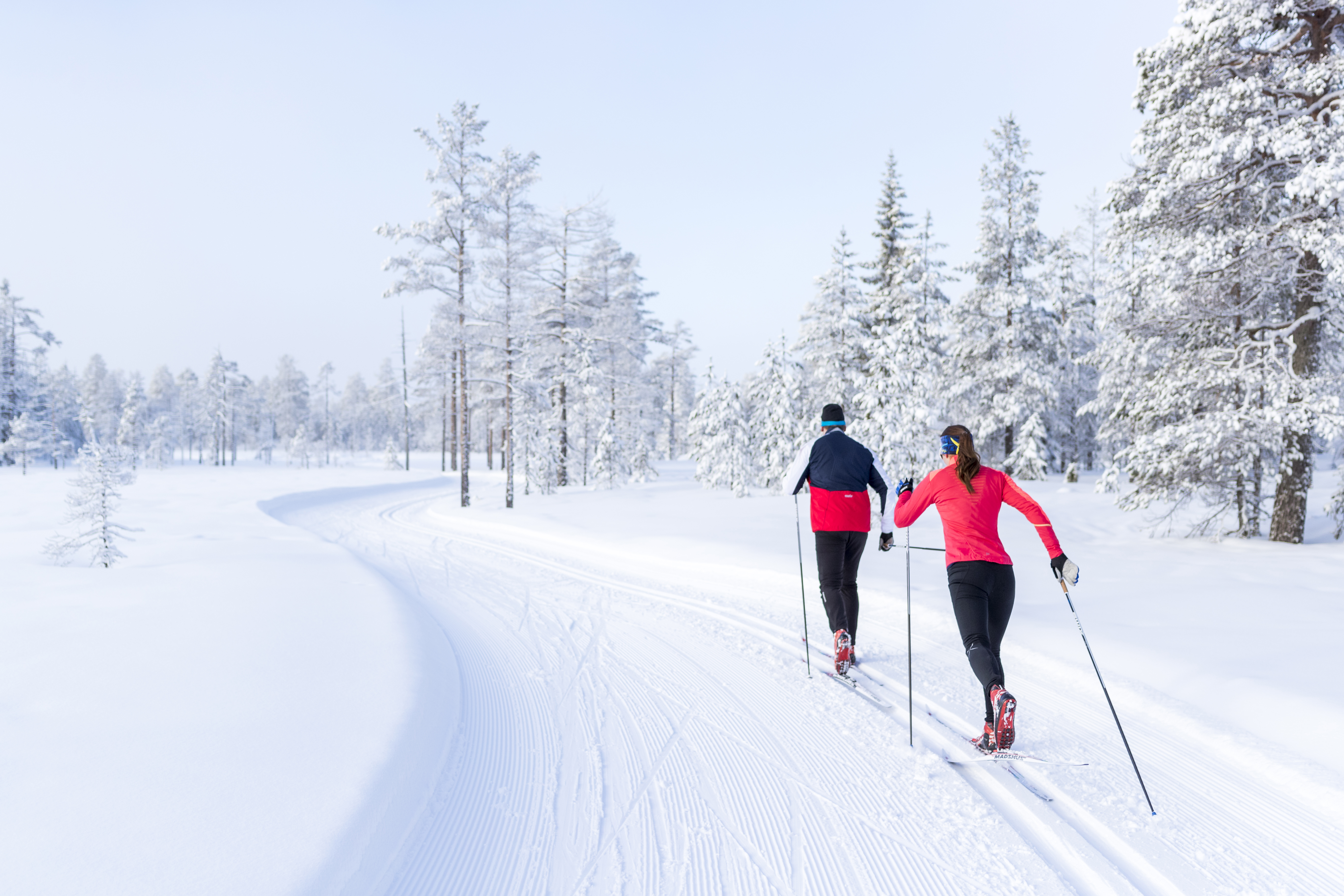 Two cross-country skiiers in a wintry landscape.