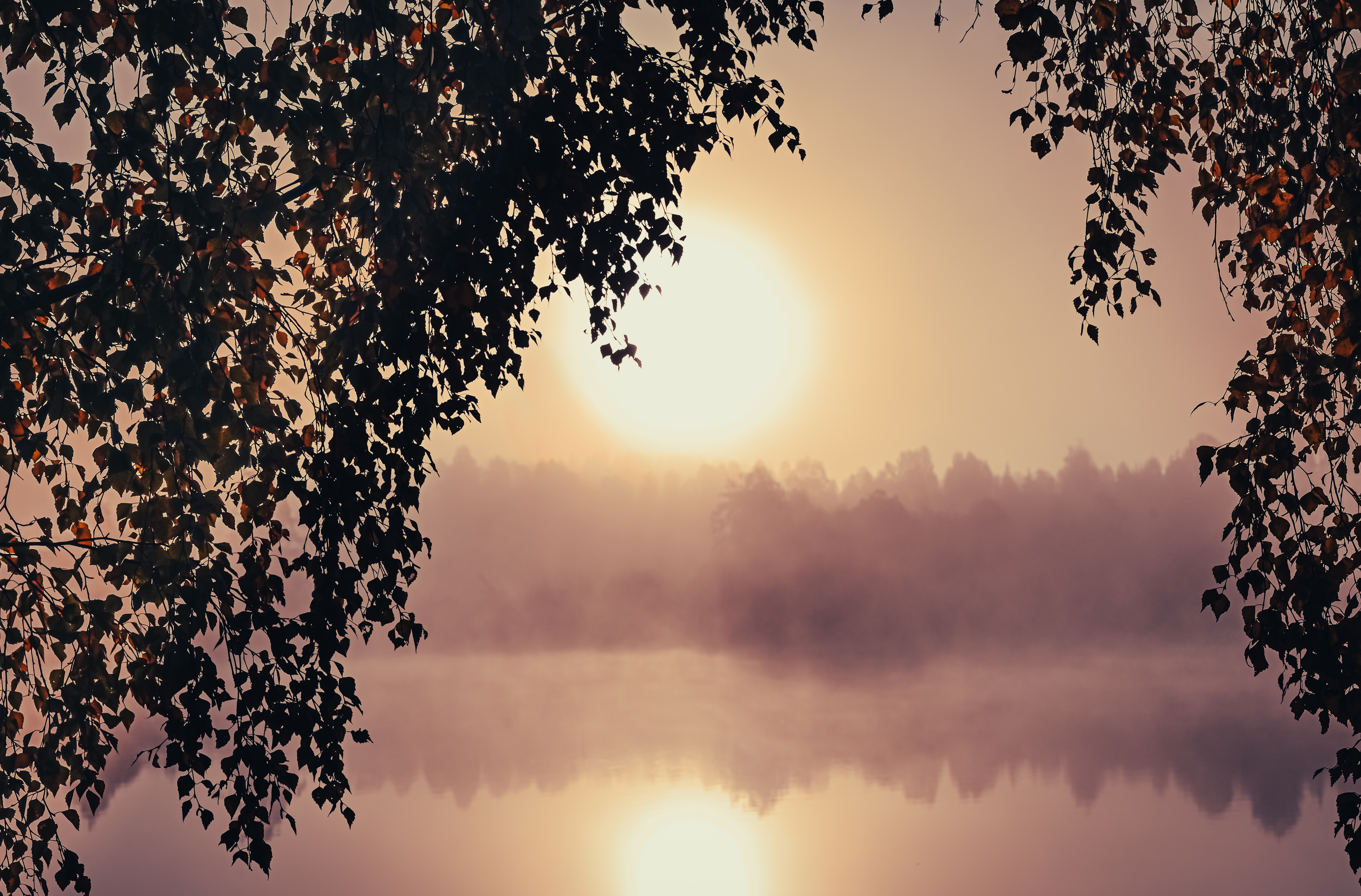 Sol över dimmig sjö.