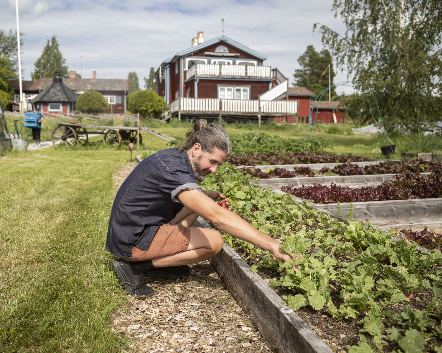 En man sitter på huk och gräver i ett trädgårdsland.