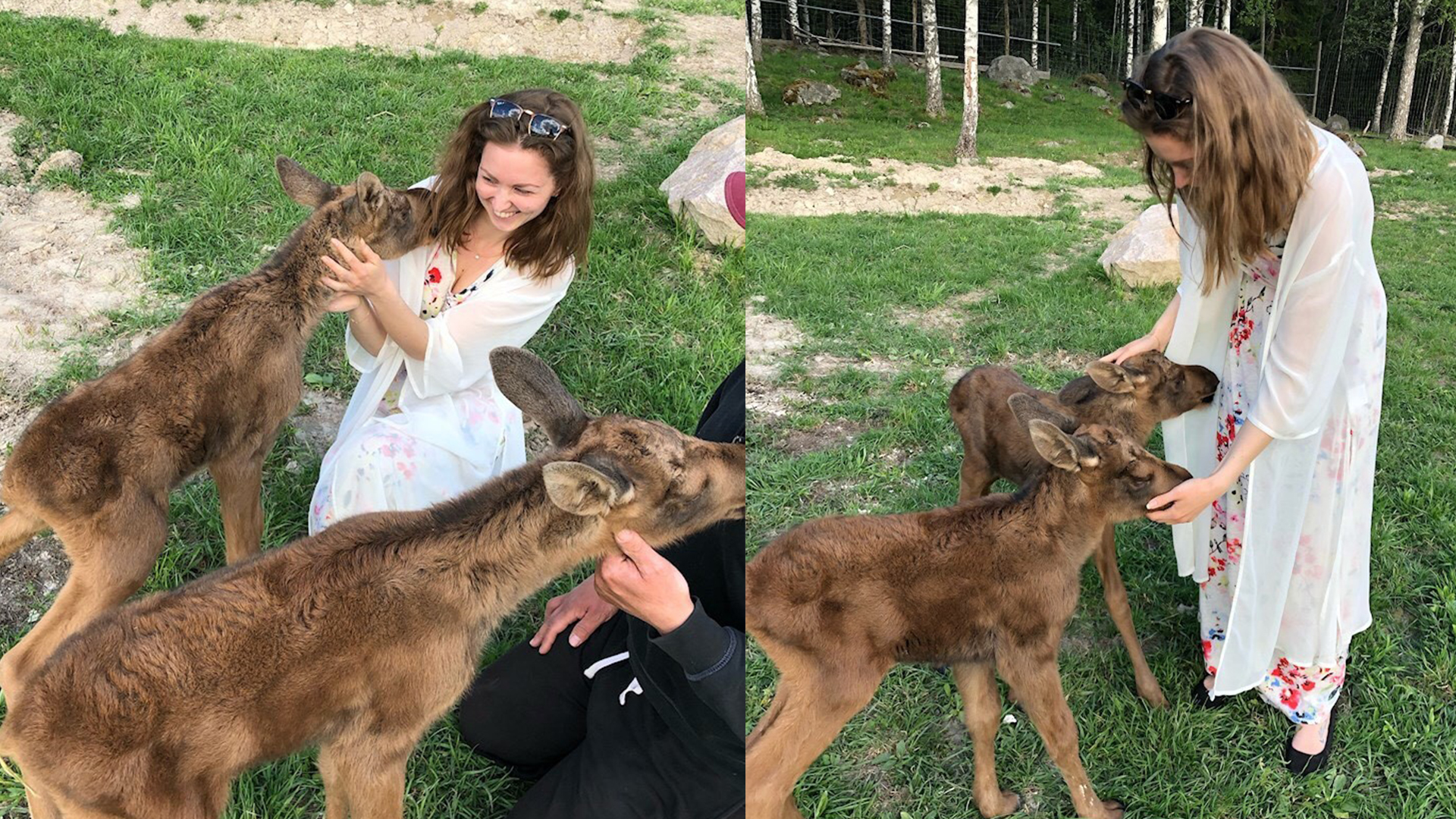 Emelie Larsson klappar älgungar.