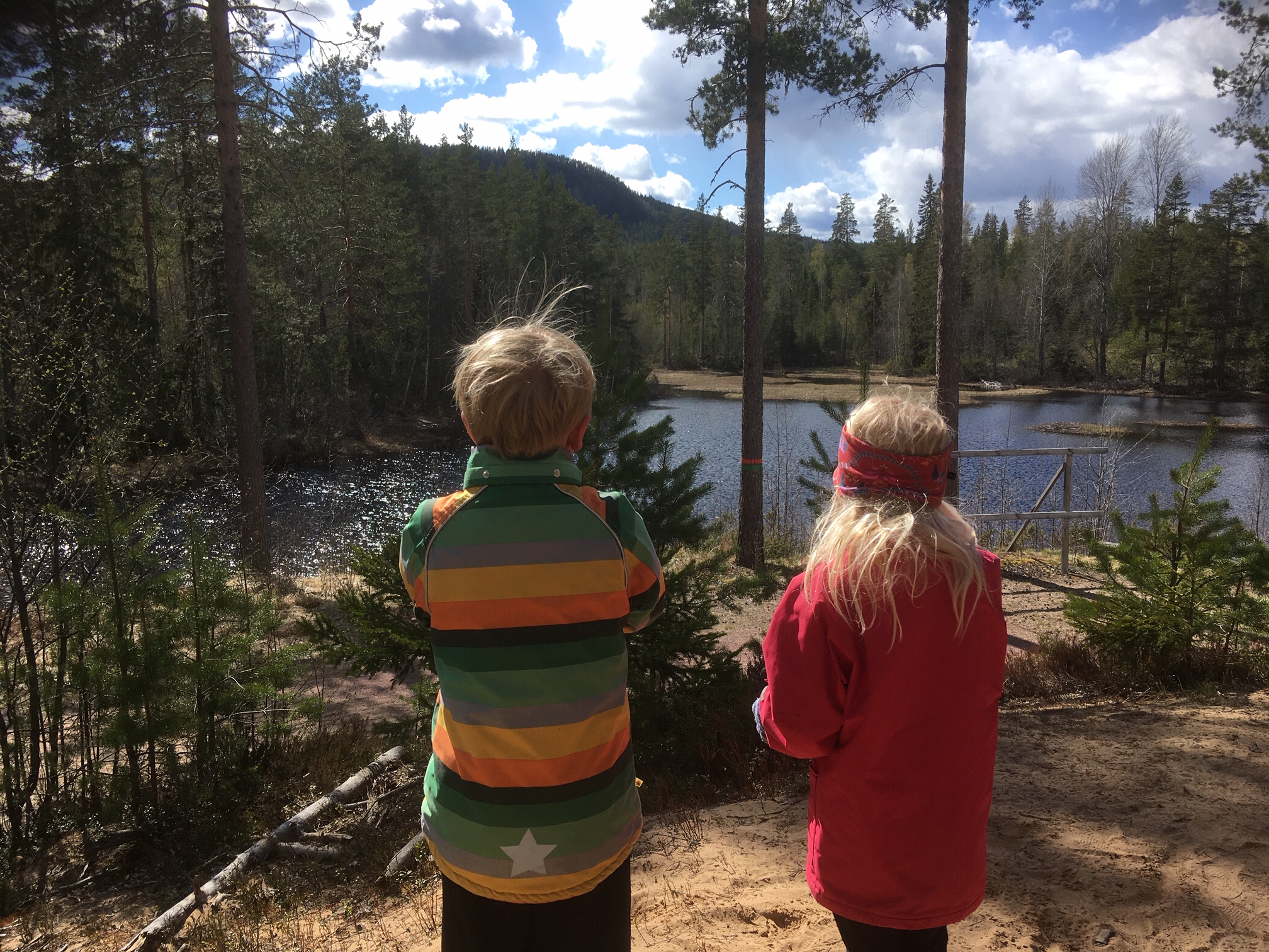 Barn som kollar ut över en utsikt.