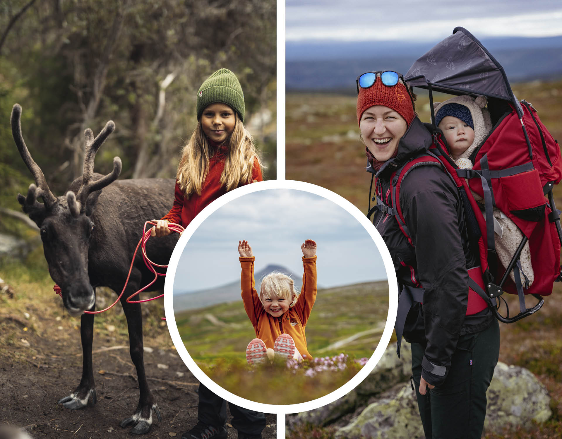 Reindeers and experience Sámi culture