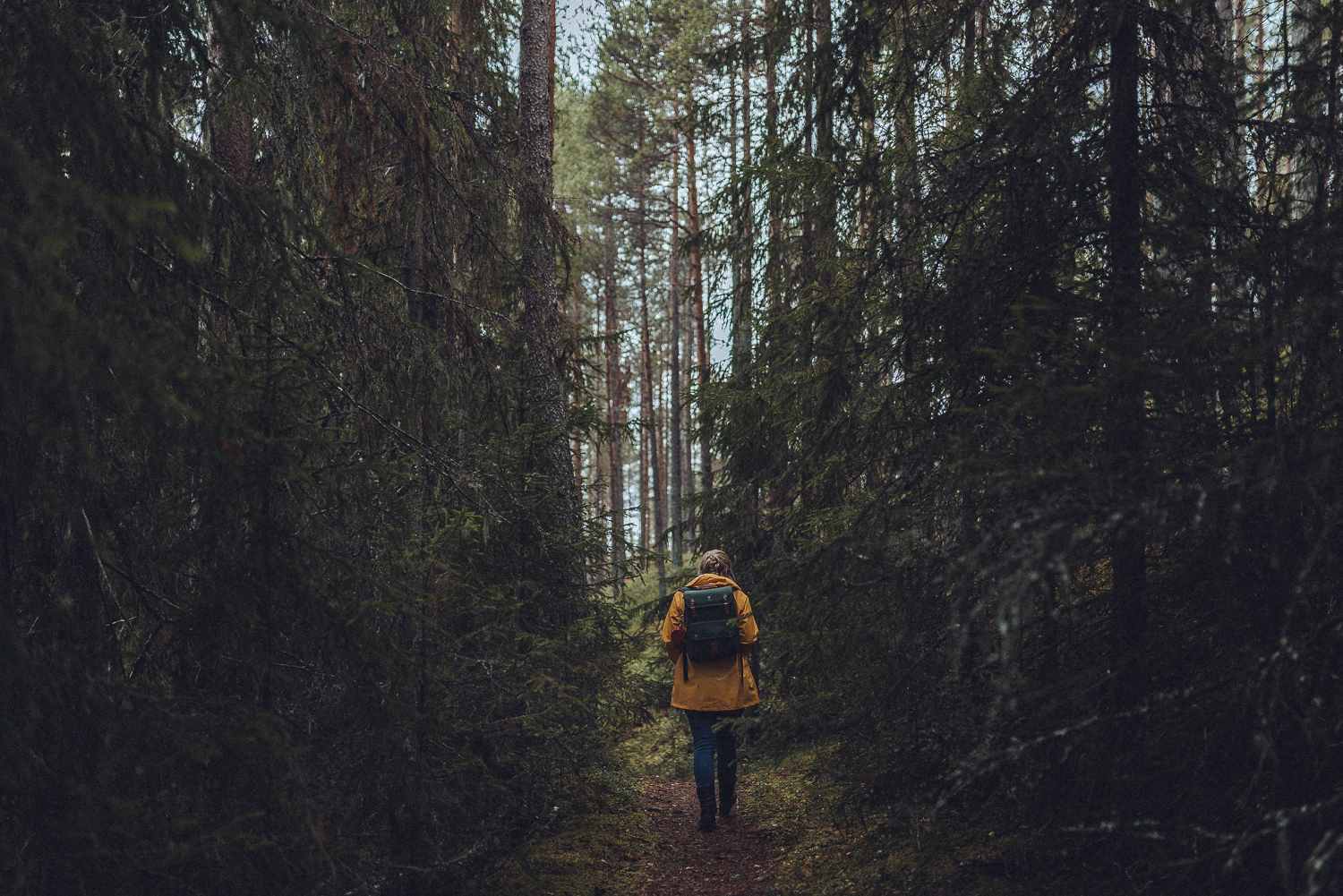 Rania Rönntoft vandrar till Fjätfallen.