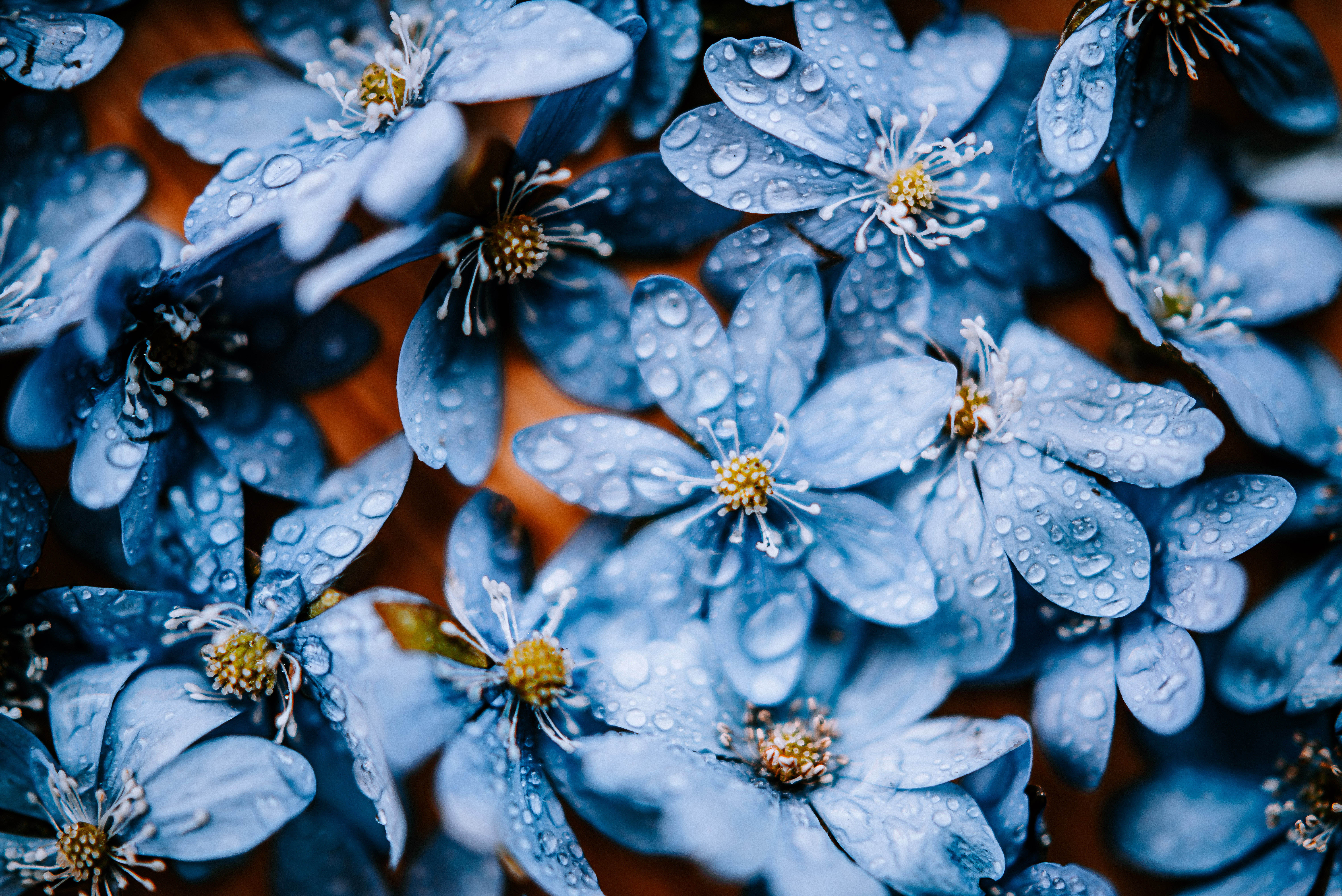 Fotograf Emelina Forsbergs favoritbild från Dalarna.