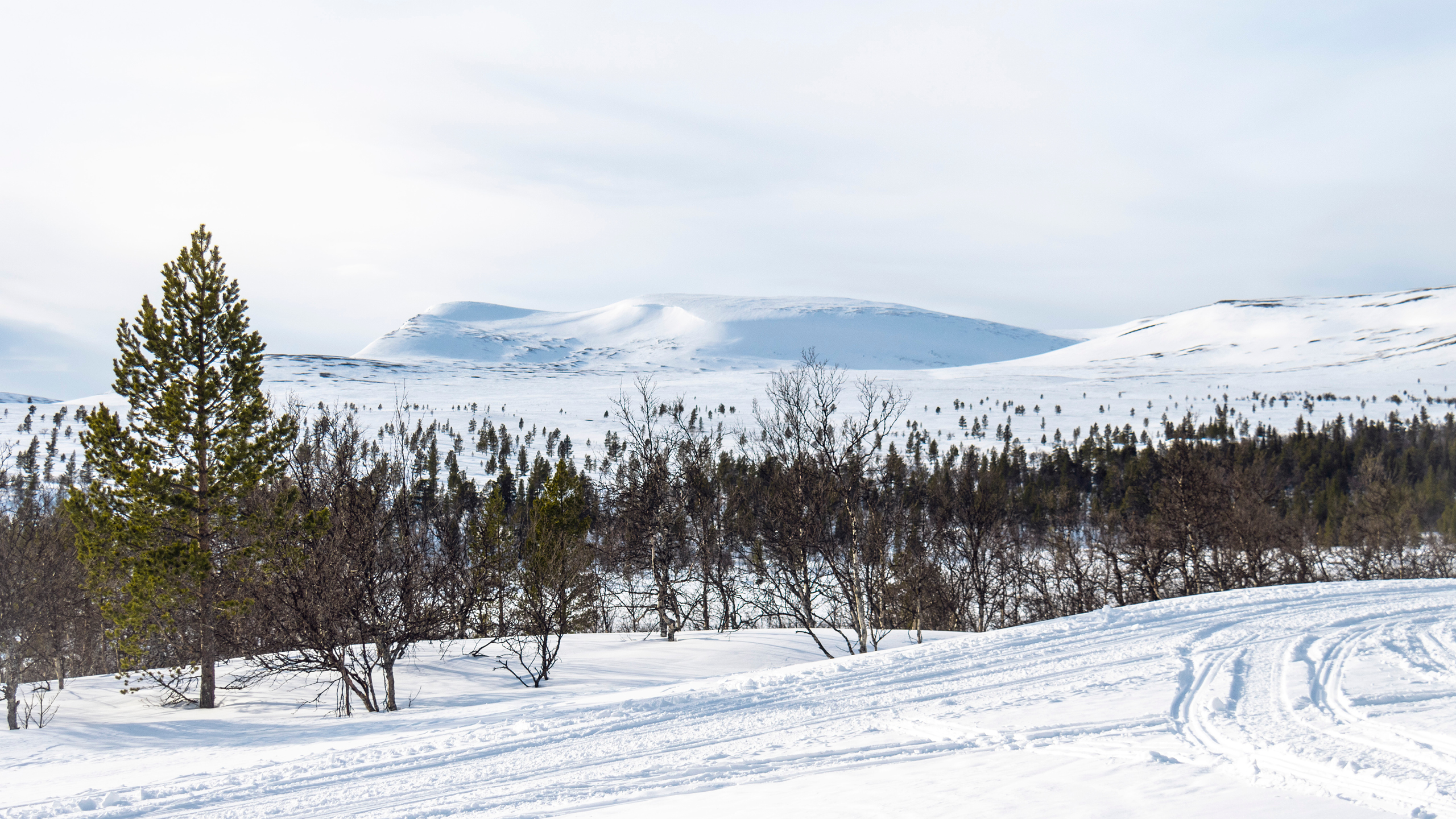 Vy över snötäckta fjäll i Grövelsjön.