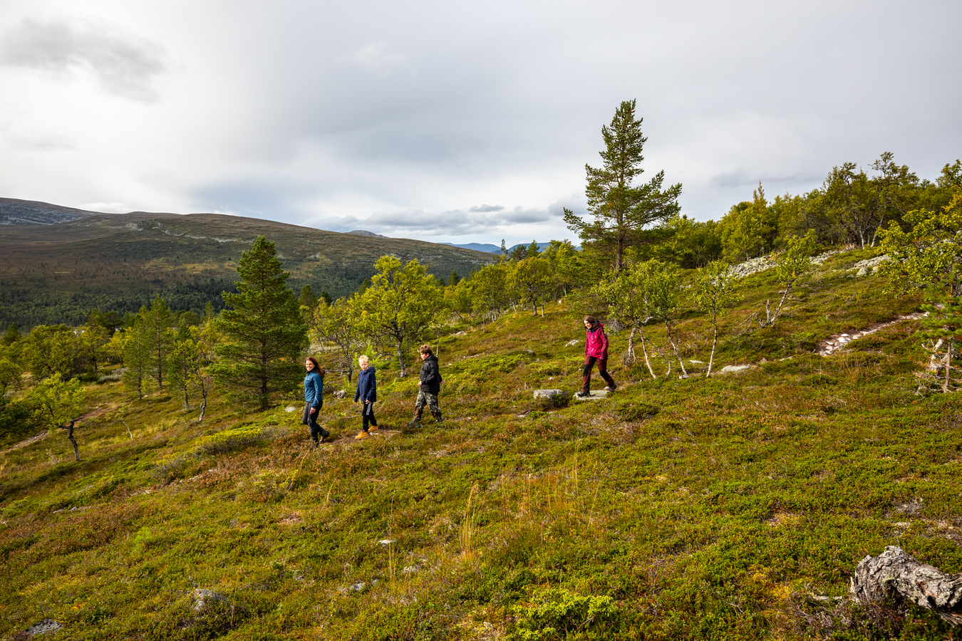 Vandrare på Långfjället.