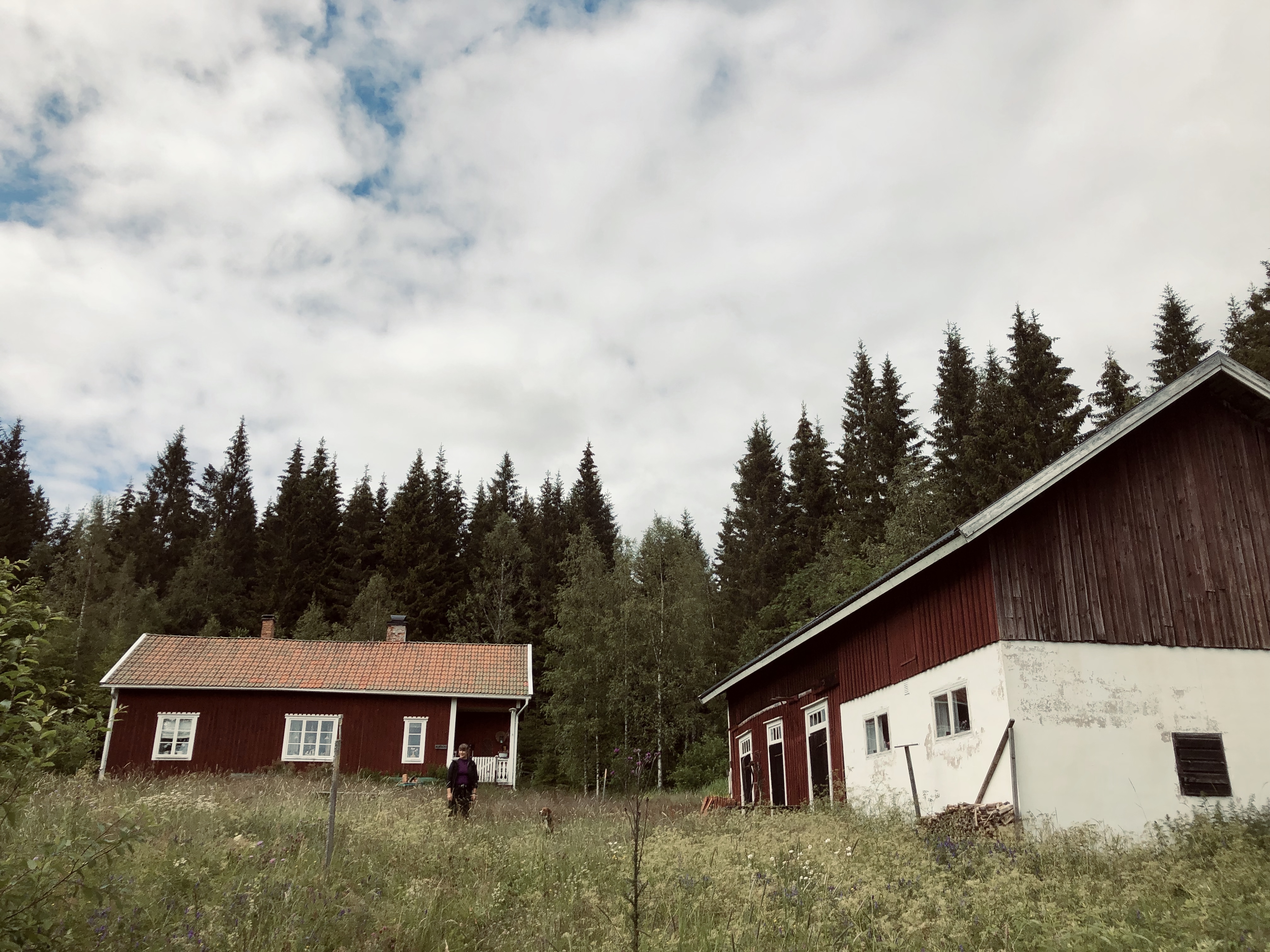 Fritidshus med en blommig äng.