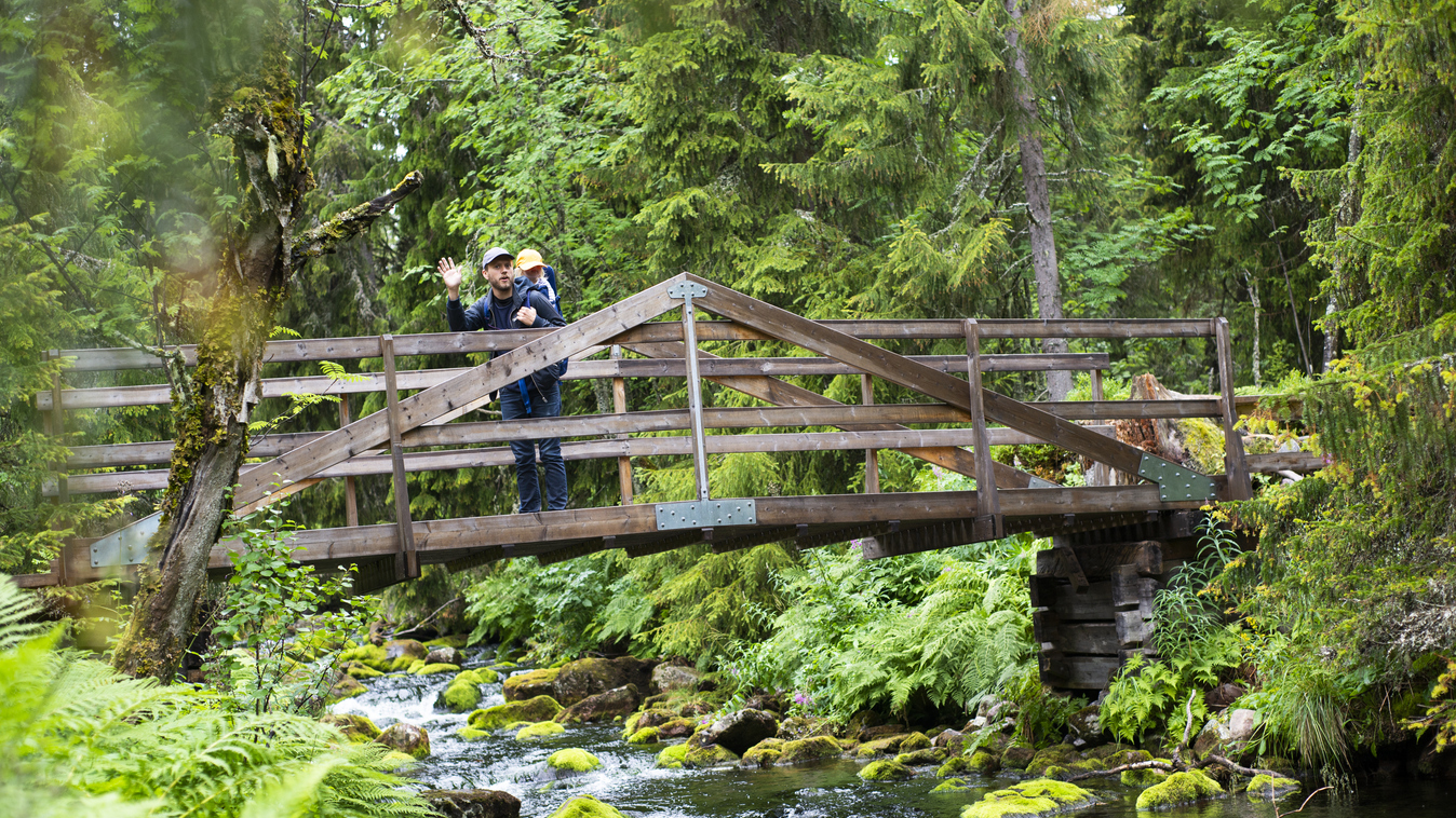 Vandrare till Njupeskär.