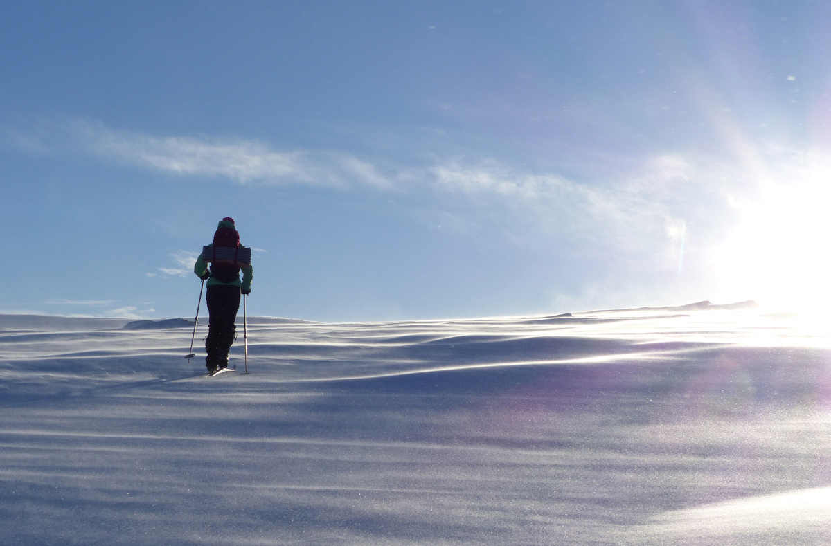 En person på turskidor över fjället i solen.