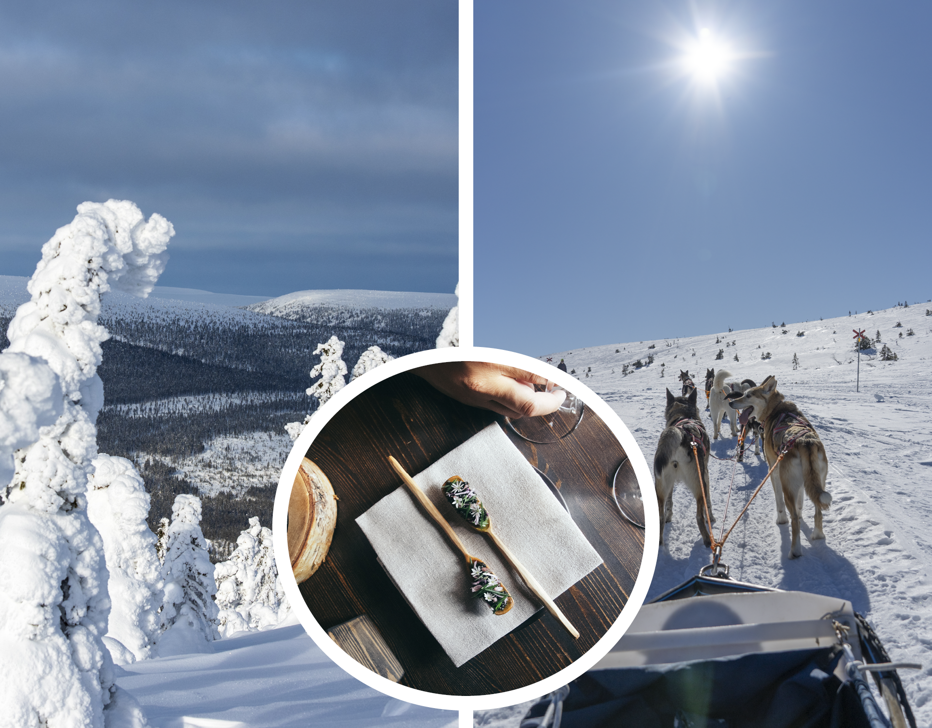 Snow covered mountains, dog sledding, fine dining