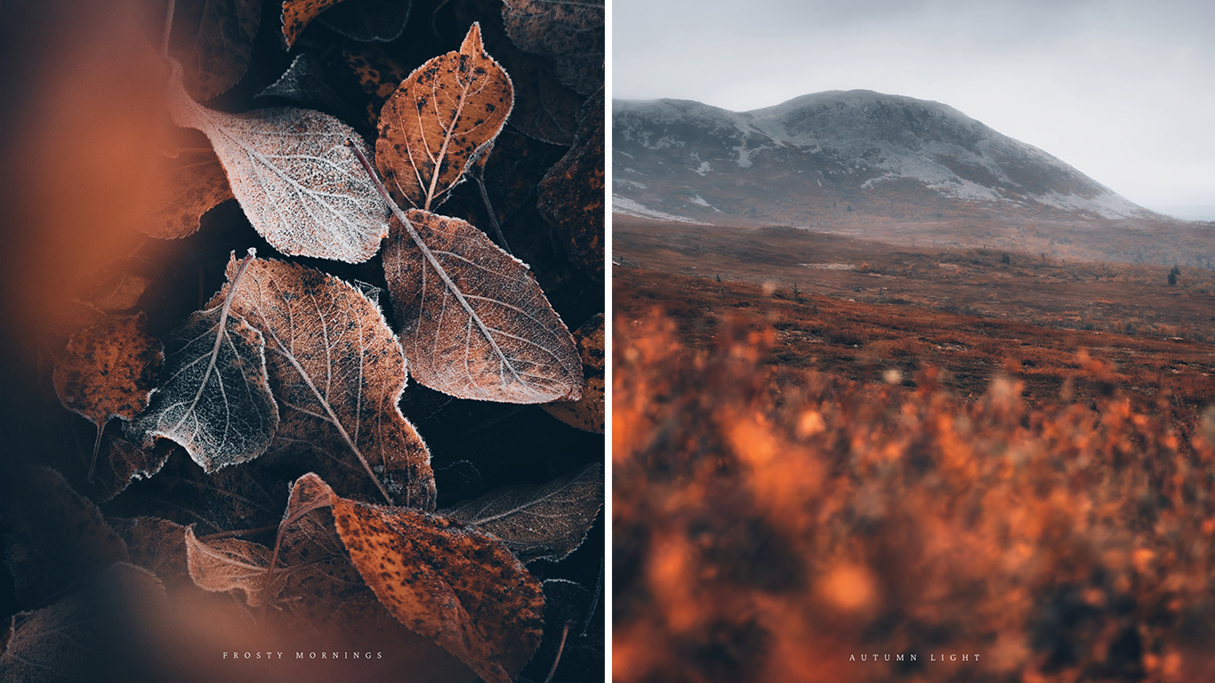 Frostiga löv och en höstig fjällvy.