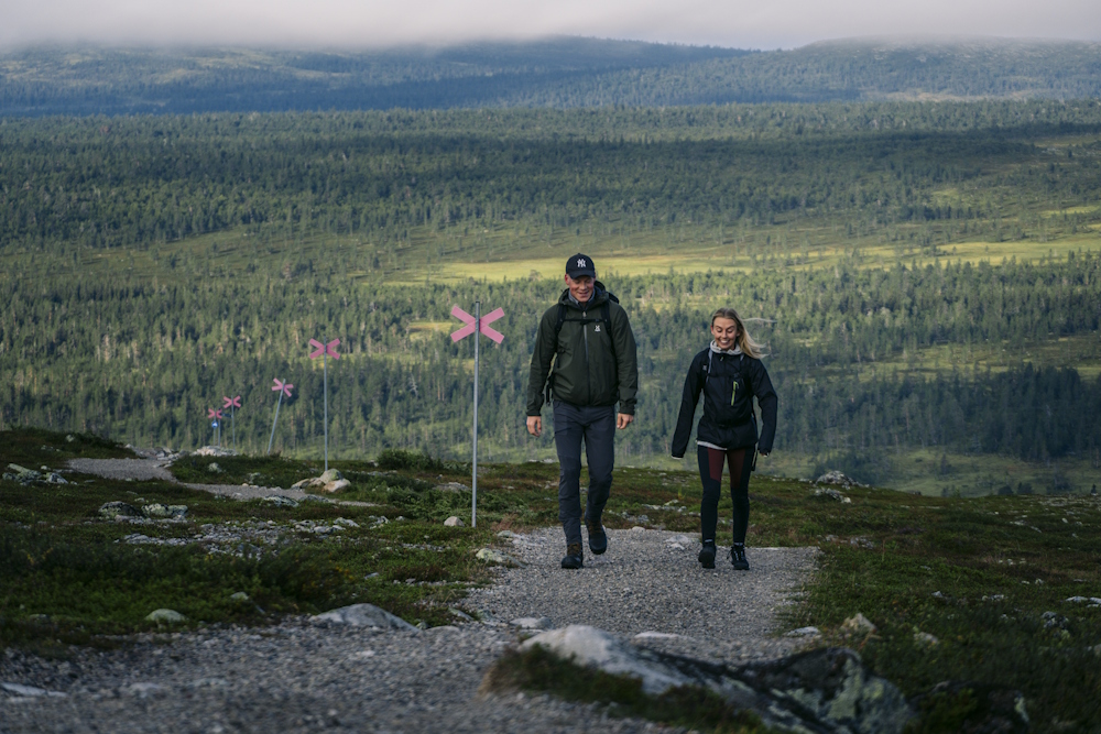 Ett par vandrar uppför en utstakad vandringsled på fjället.