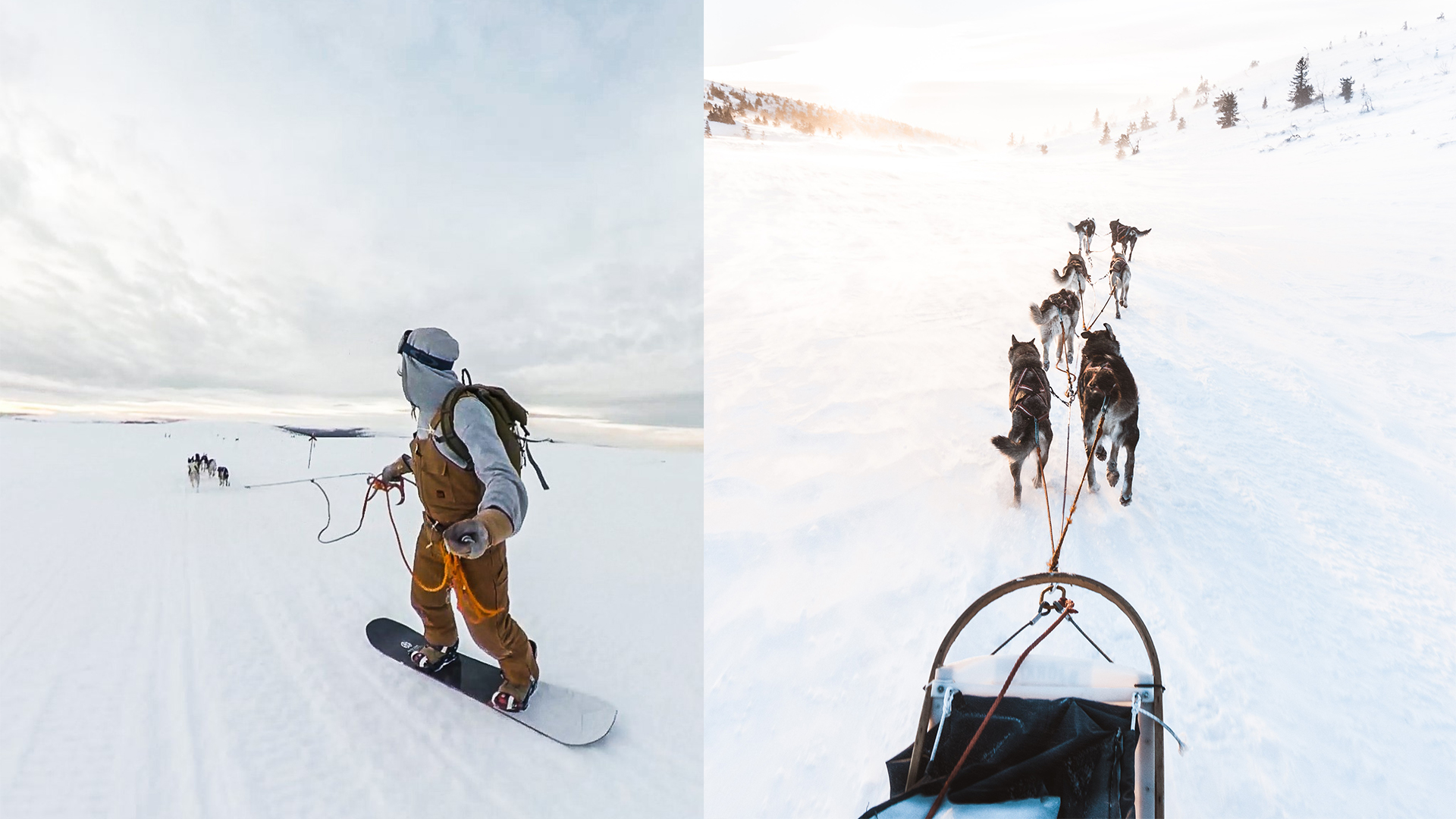 Andreas Ost med sina Huskies.