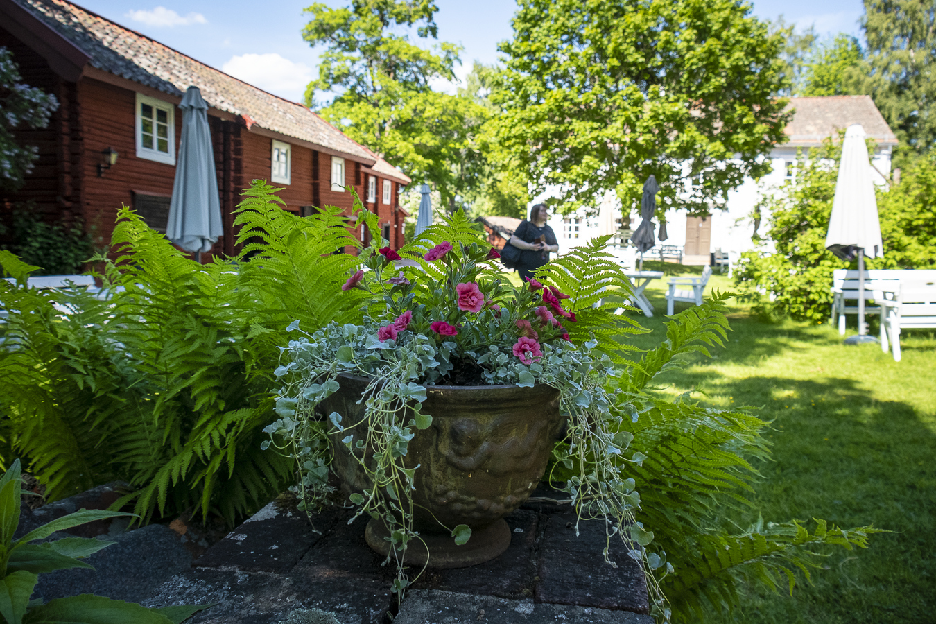 Trädgården på Karlfeldtsgården.