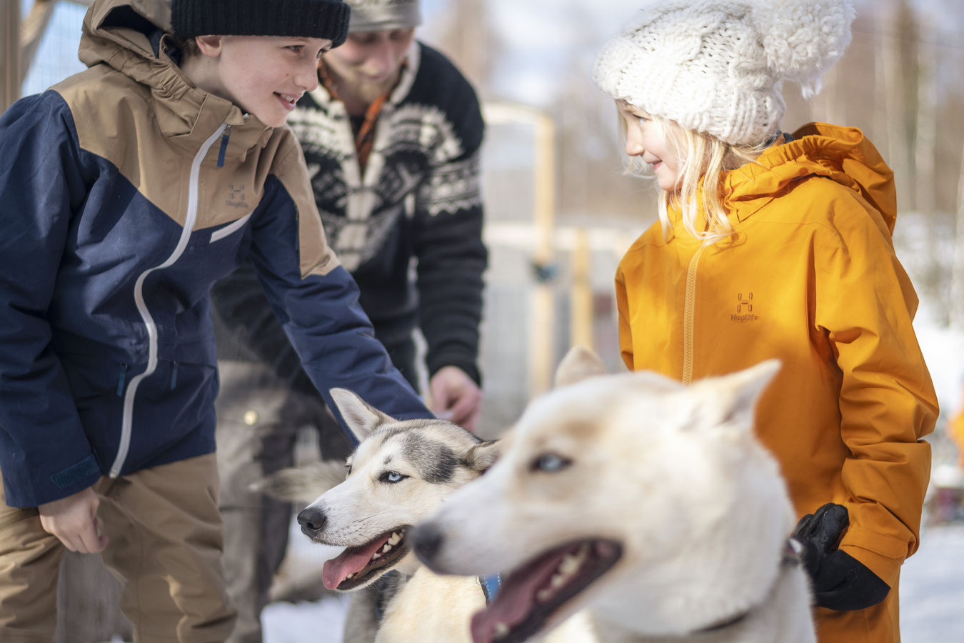 Pojke och flicka tillsammans med draghundar.