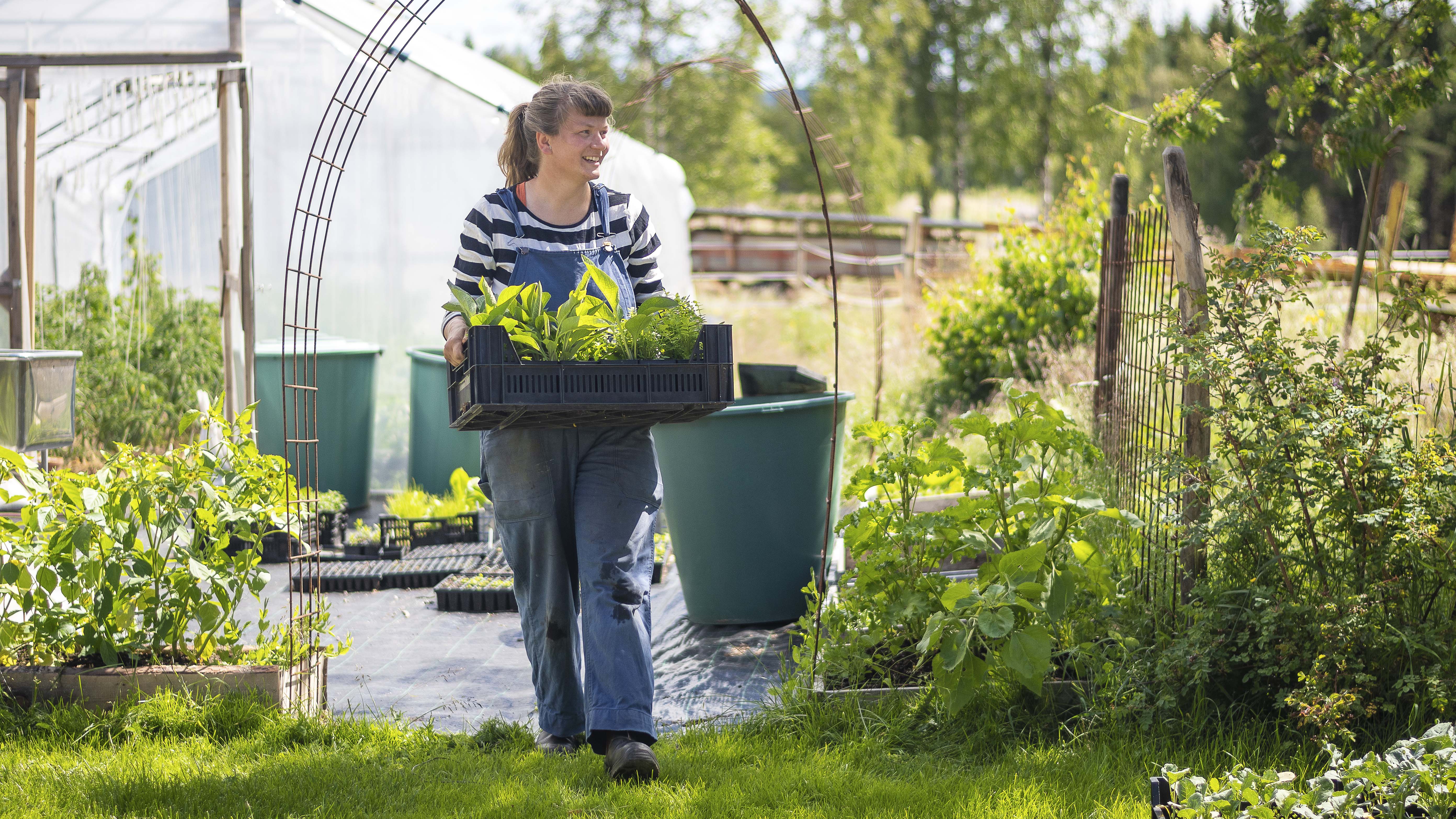 Sara May Kahls bär på en korg med sina grödor.