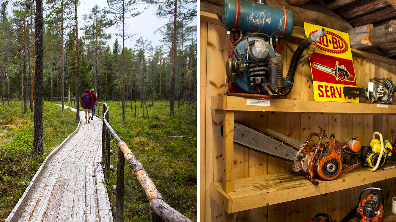 Collage: En vandringsled på spång i skogen, hyllor med äldre verktyg och maskiner.