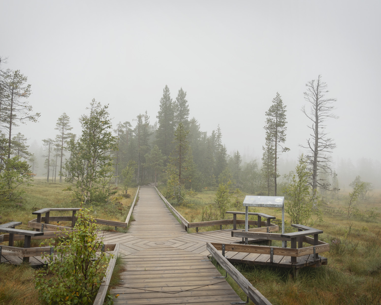 Spänger i Fulufjällets nationalpark