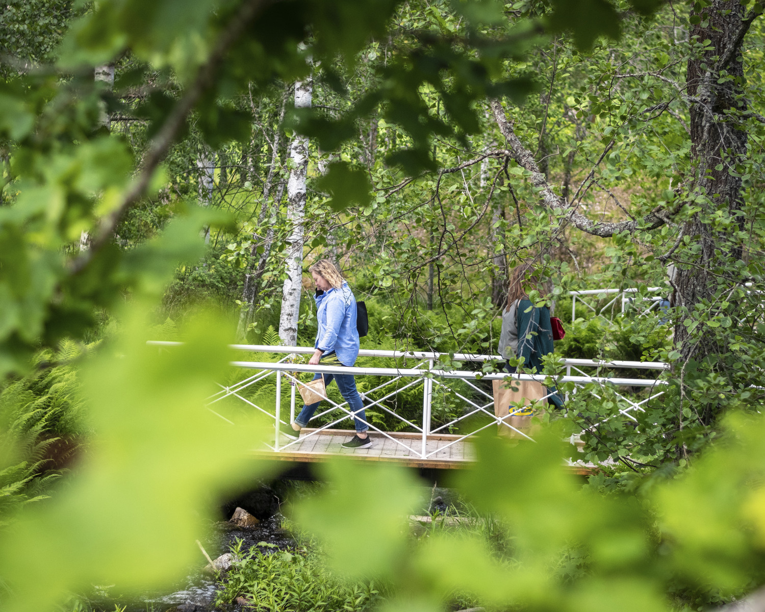 Två personer går över en bäck på en gångbro sommartid.