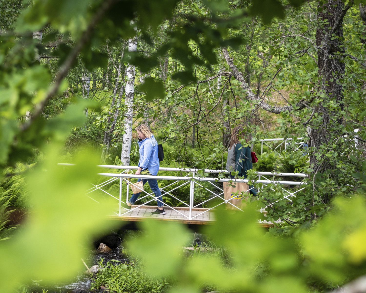 Personer som vandrar på en bro genom Engelska Parken i Kloster